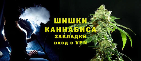 стаф Верея