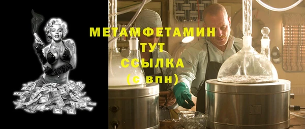 индика Верхний Тагил