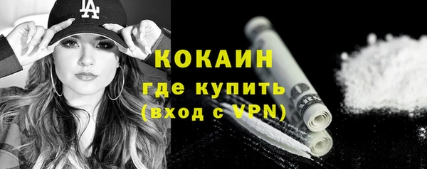 индика Верхний Тагил