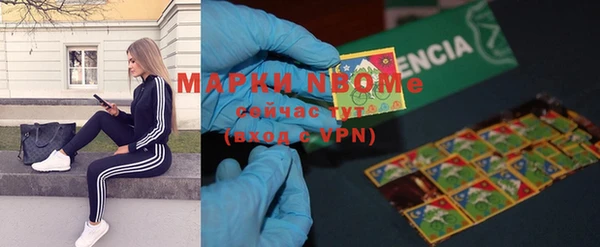 стаф Верея