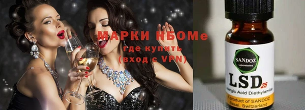 индика Верхний Тагил