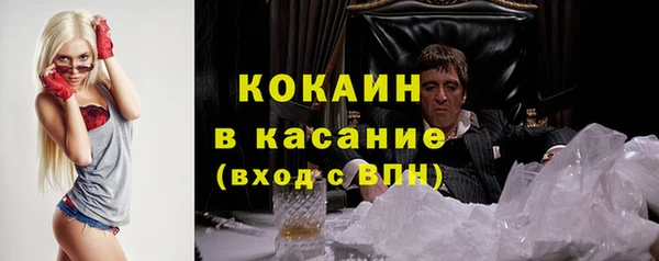стаф Верея