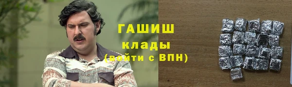 индика Верхний Тагил