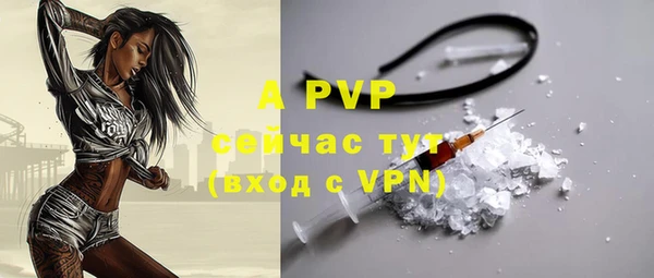 индика Верхний Тагил