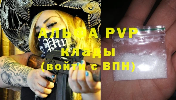 стаф Верея