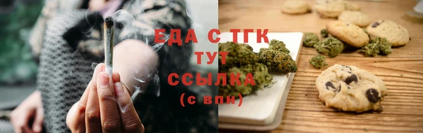 индика Верхний Тагил