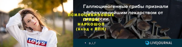 индика Верхний Тагил