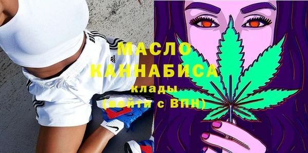 стаф Верея