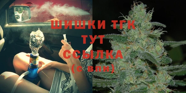стаф Верея