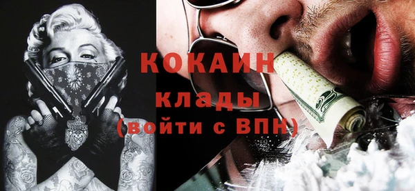 стаф Верея