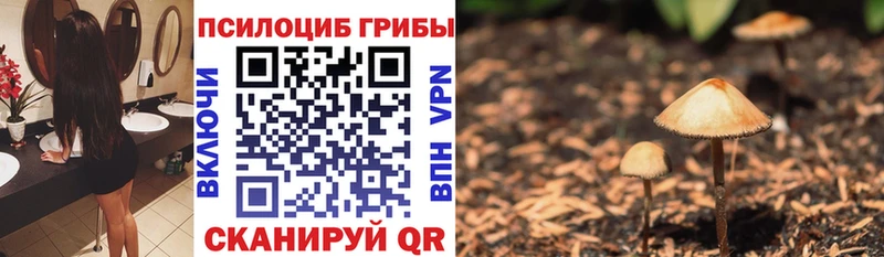 Псилоцибиновые грибы прущие грибы  Купить закладки  Бабушкин 